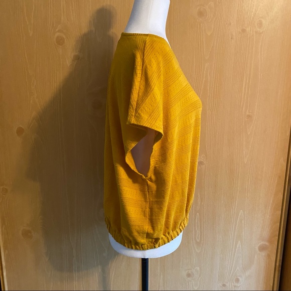 Madewell • Mustard Yellow Pointelle Knit Short-Sleeve Crop Top - Picture 9 of 10